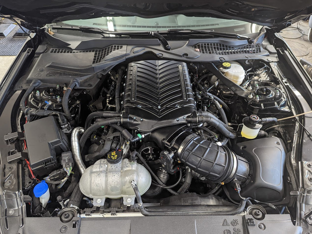 Whipple Install on 2011+ Mustang Pricing