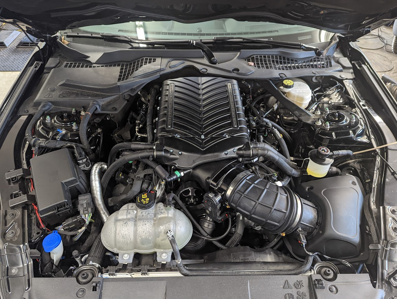 Whipple Install on 2011+ Mustang Pricing