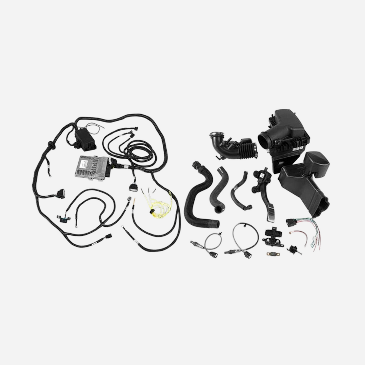 Ford Performance control pack harness for 2015-17 Coyote 5.0L manual transmission engine swap or upgrade.