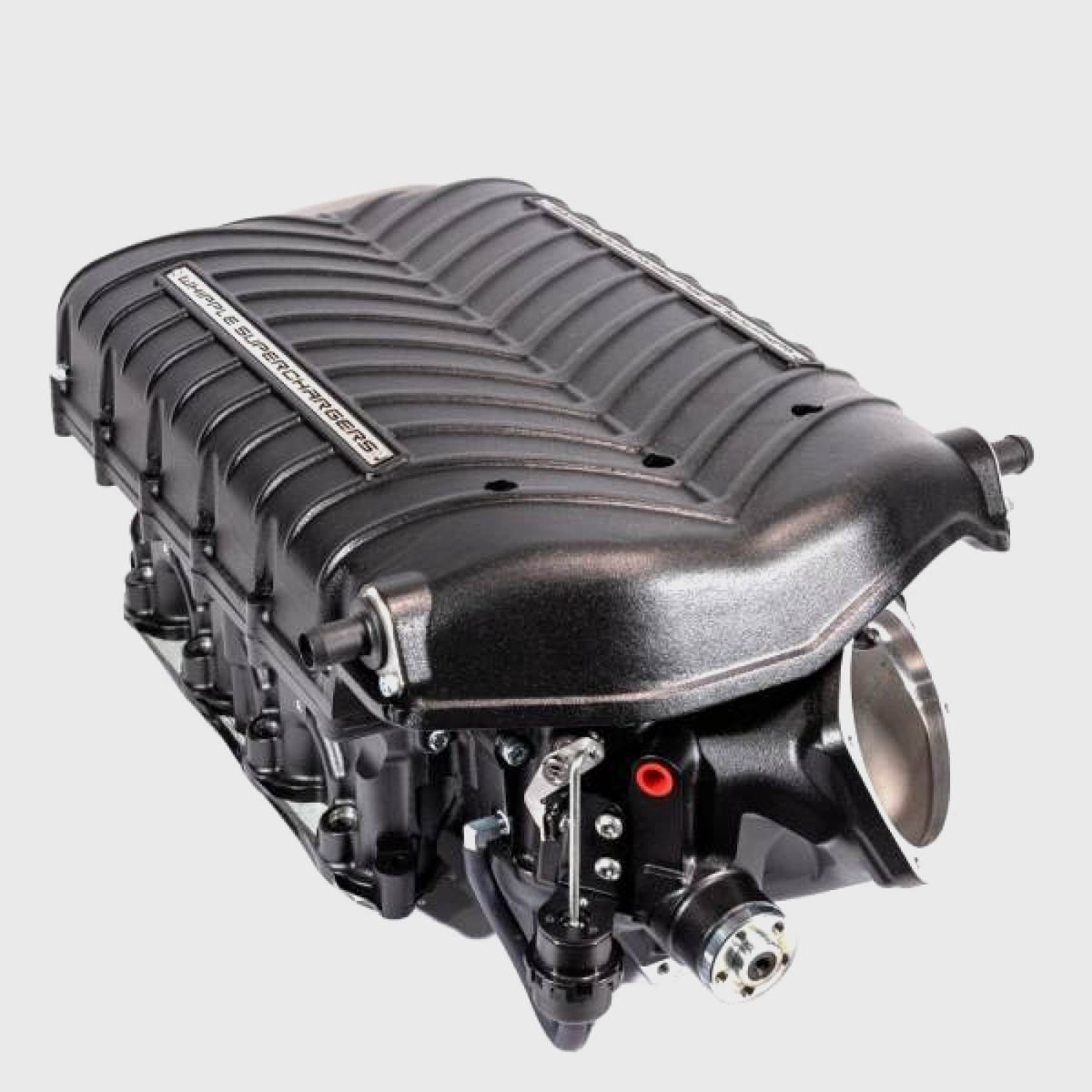 Ford F-150 5.0L Gen 6 Stage 1 Whipple Supercharger Kit with Powertrain Warranty for 2024-2026 models, shown installed.