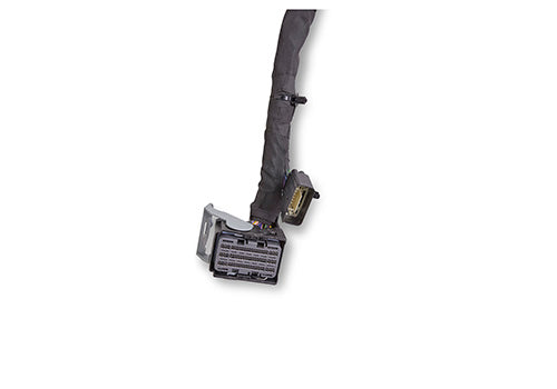 Ford Performance GEN 4X 5.0L Mustang Coyote crate engine with 460HP, shown in engine bay with polished components.